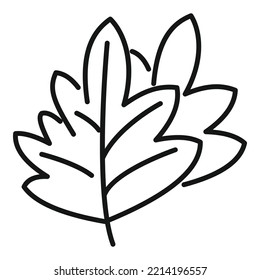 Parsley herb icon outline vector. Leaf plant. Garnish dill