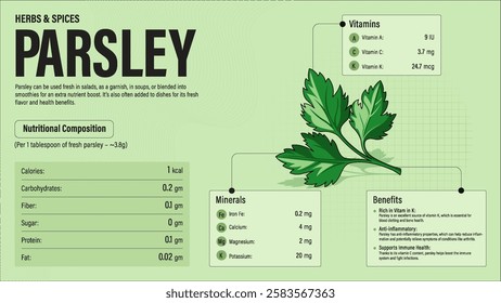 Parsley Herb Nutrition Facts and Health Benefits–Detailed Vector Infographic for Healthy Eating and Wellness