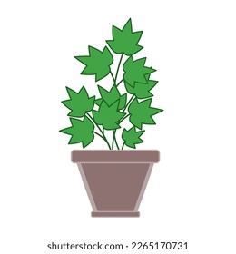 Hierba de perejil en maceta en ilustración vectorial de técnica plana 