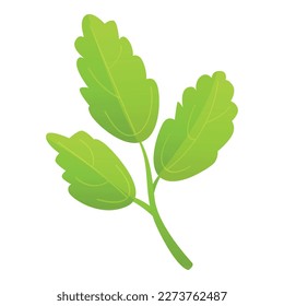 Parsley icon cartoon vector. Leaf plant. Herb fresh