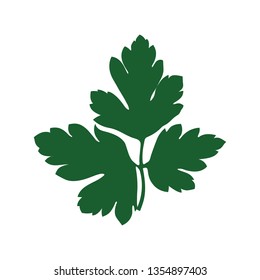 Parsley icon. Flat color design. Vector illustration.