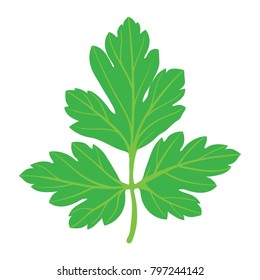Parsley icon. Flat color design. Vector illustration.