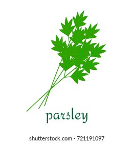 Parsley icon in flat style. Isolated object, logo. Vegetable from the farm. Organic food. Vector illustration.