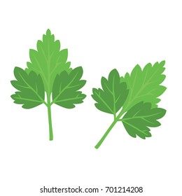 Parsley icon isolated vector illustration on white transparent background