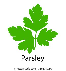 Parsley icon on white background. Vector illustration.