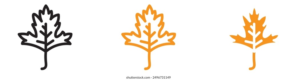 Parsley Icon Set Herb Illustrations for Cooking and Nutrition Projects