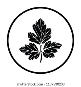 Parsley icon. Thin circle design. Vector illustration.