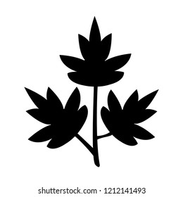 parsley icon, vector illustration
