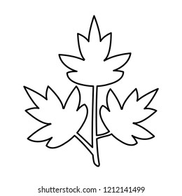 parsley icon, vector illustration