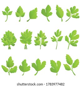 Parsley icons set. Cartoon set of parsley vector icons for web design