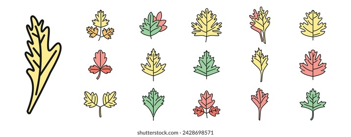 Parsley icons set outline vector. Bunch leaf. Botany herb