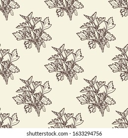 Parsley ink sketch seamless pattern. Monochrome food ingredient backdrop. Vintage hand drawn engraved style wallpaper. Vector illustration