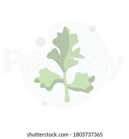 Parsley isolated vector flat illustration