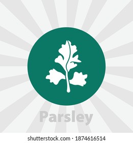 Parsley isolated vector icon. vegetables design element