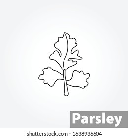 Parsley, Italian Flat Leaf thin line vector icon