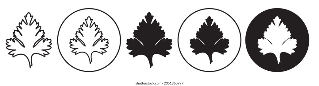 Parsley Leaf Icon. Coriander leaves symbol in vector outline style. Flat set of cilantro verdure branch. Logo of natural organic seasoning spice herb stem used in cooking food.
