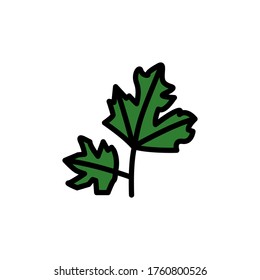 Parsley leaf icon. Simple color with outline vector elements of healing plant icons for ui and ux, website or mobile application