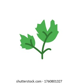 Parsley leaf icon. Simple color vector elements of botanicals icons for ui and ux, website or mobile application
