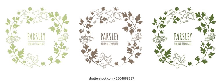 Hoja de perejil, semilla y Plantilla de flores. Conjunto de marcos de hojas orgánicas redondas. Marcos de Vector en un color. Para etiquetas, diseño, productos