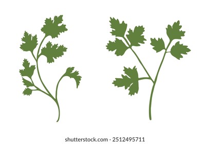 Petersilienblattsilhouetten einzeln auf weißem Hintergrund. Vektorgrafik, Symbol für Gemüse. Grüne Petersilienzweige in handgezeichnetem Stil. 