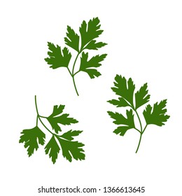 Parsley leaf vector illustration
Green-stuff vector. Organic vegetarian food. Parsley vector 