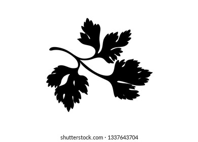 Parsley leaf vector outline illustration. Vegetable food concept. For poster, banner, logo, icon, sticker, menu design, restaurants, cafe, receipt book, farm product, parsley dressing. Sketch isolated