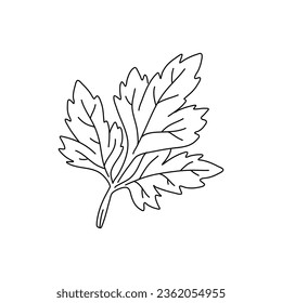 Parsley leaves black doodle line sketch isolated on white background. Doodle hand drawn vegetable icons. Vector illustration