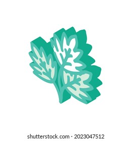 parsley deja un vector de icono isométrico. parsley deja la señal. ilustración de símbolo aislado