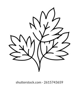 parsley leaves line icon vector. parsley leaves sign. isolated contour symbol black illustration