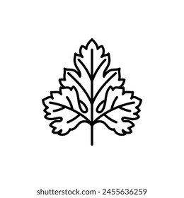 Parsley, line icon. Leaf, herb, spice, ingredient. Minimalist illustration, symbol, editable strokes.