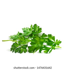 Parsley low poly. Fresh green plant, nutritious, tasty green parsley. Vector illustration. Vegetables ingredients in triangulation technique.