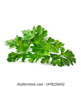 Parsley low poly. Fresh green plant, nutritious, tasty green parsley. Vector illustration. Vegetables ingredients in triangulation technique.