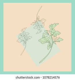 Parsley  pattern, sprig, hand drawn, stylized, doodles .