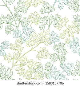 Parsley plant herb graphic green color sketch seamless pattern background illustration vector