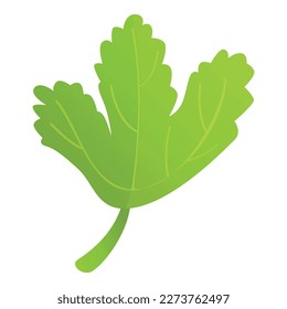 Parsley plant icon cartoon vector. Fresh herb. Nature food