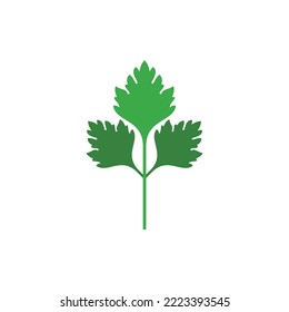parsley plant logo vector icon design 
