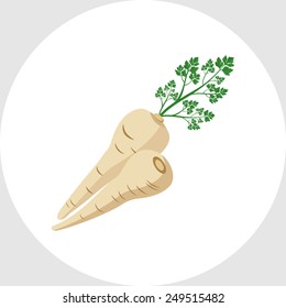  Parsley Root 