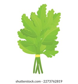 Parsley salad icon cartoon vector. Leaf plant. Fresh food
