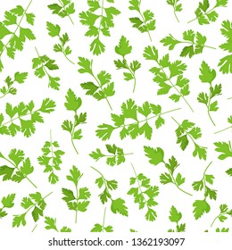 Parsley seamless pattern with healthy full of vitamins greens isolated on white background. Vector cartoon illustration