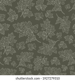 Parsley seamless pattern on dark green background