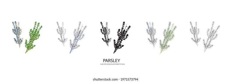 parsley set vector type icon