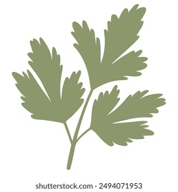 parsley silhouette. parsley flat icon. parsley symbol