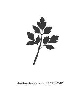 Parsley silhouette icon. Culinary herbs and spice. Monochrome condiment vector illustration.