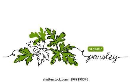 Parsley sprig, branch vector illustration, background, label design. One continuous line drawing art illustration with lettering organic parsley.