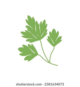 Parsley sprig, greens, food - vector flat illustration, design element for packaging, menu, website