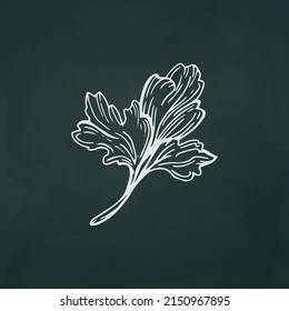 Parsley líneas blancas delgadas en un fondo oscuro textural - Ilustración vectorial
