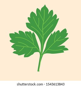 Parsley vector illustration. Cooking, kitchen. Wallpaper.