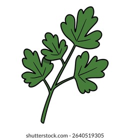Parsley vector illustration, simple design