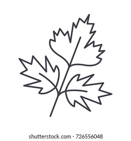 parsley vector line icon, sign, illustration on background, editable strokes