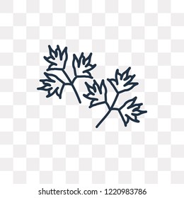 Parsley vector outline icon isolated on transparent background, high quality linear Parsley transparency concept can be used web and mobile